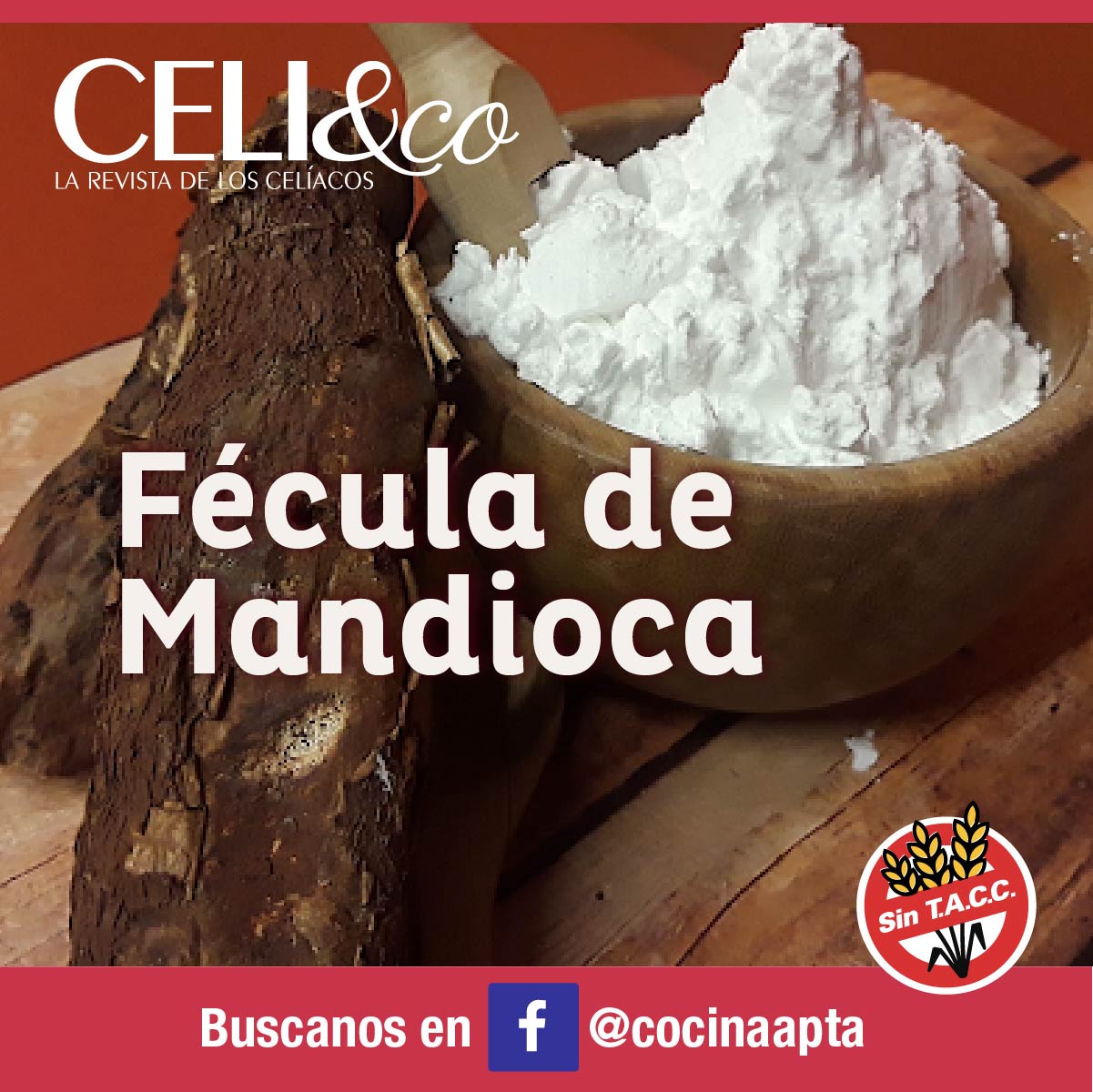 Fécula de Mandioca - Celi&Co